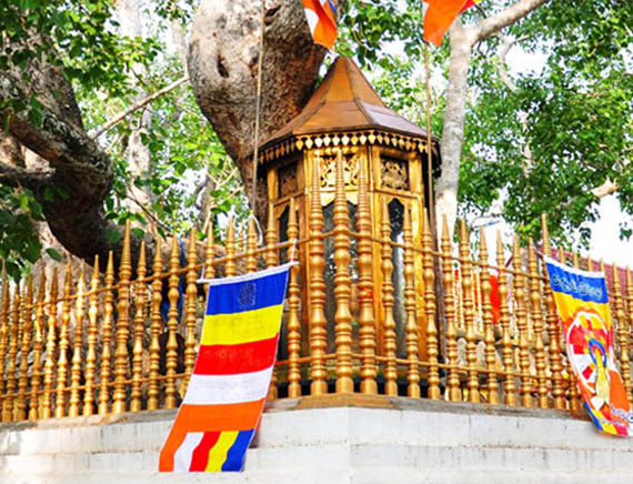inora-travel-lanka-day-tour-anuradhapura